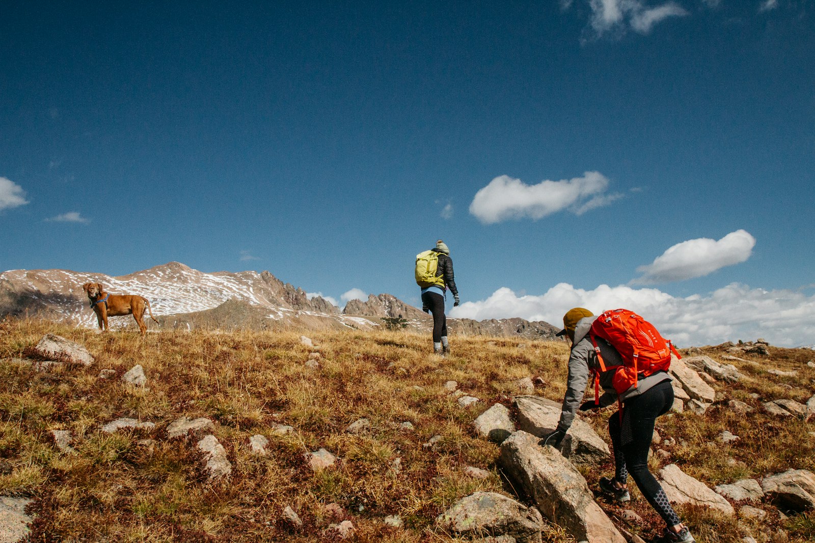 Emergency Shelter: A BuyerÃ¢â‚¬â„¢s Guide